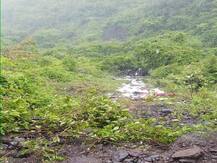 रत्नागिरीजवळच्या आंबेनळी घाटात 800 फूट दरीत ट्रक कोसळला