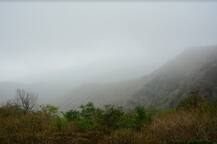 विदर्भाचं नंदनवन चिखलदरा पर्यटकांनी फुललं