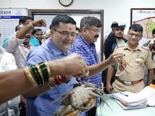 तिवरे धरणफुटीला जबाबदार खेकड्यांवर कारवाई करा, जितेंद्र आव्हाड खेकडे घेऊन पोलीस ठाण्यात पोहोचले