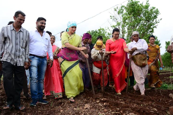  राणा दाम्पत्याने अंजनगाव बारी येथील एका शेतशिवारत स्वतः पेरणी करुन शेतकऱ्यांना यावर्षी चांगलं उत्पन्न व्हावं अशी प्रार्थना केली.