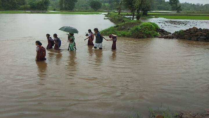 हा भाग मुरबाड विधानसभा मतदारसंघ आणि भिवंडी लोकसभा मतदारसंघात येत असल्याचं इथले ग्रामस्थ सांगतात. भाजपचे स्थानिक आमदार किसन कथोरे यांच्याकडे अनेकदा इथले टेम्पोभर लोक रस्त्याच्या समस्येसाठी गेले आहेत. मात्र दरवेळी एकच समस्या घेऊन का येता? असं आमदारांचं उत्तर असल्याचा दावा ग्रामस्थ करतात.शिवाय हे नेते गावात फक्त निवडणुकीपुरतेच दिसतात, असाही आरोप ग्रामस्थांचा आहे. तर हा रस्ता खासगी जागेतून जात असल्याने कामात अडचणी येत असल्याचा गावच्या ग्रामसेवकाचा दावा आहे.