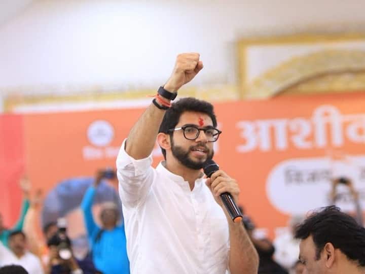 आदित्य ठाकरेंच्या विजय संकल्प मेळाव्यात चोरांचा धुमाकूळ, मोबाईल, रोख रक्कम लंपास Mobile and cash theft in Aditya Thackeray Jan ashirwad yatra आदित्य ठाकरेंच्या विजय संकल्प मेळाव्यात चोरांचा धुमाकूळ, मोबाईल, रोख रक्कम लंपास