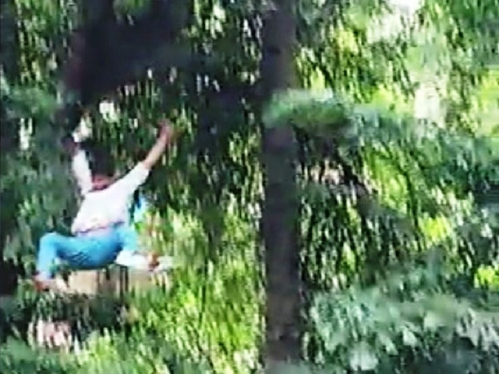 Ratnagiri : Man fell from the tree while diving Ratnagiri Stunt | झाडावरुन तळ्यात उडी मारण्याचा प्रयत्न, तरुण गंभीर जखमी