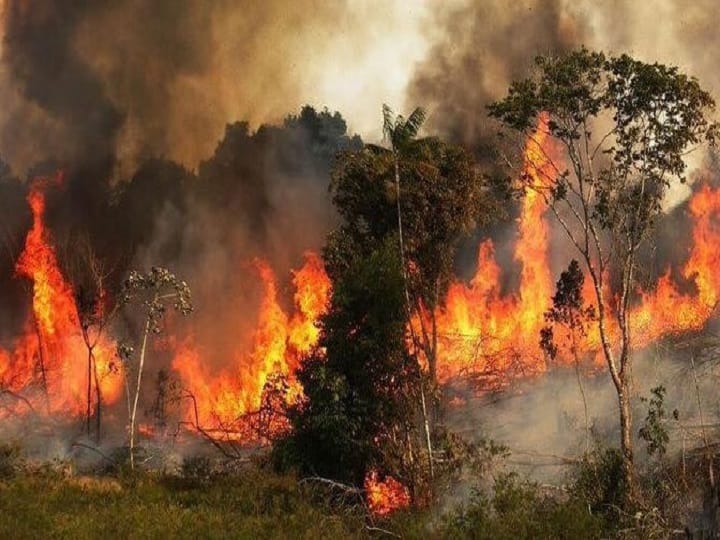 Amazon Fire - Fires in Amazon rainforest rage at record rate, turning day into night in Brazil Amazon Fire | अॅमेझॉनच्या जंगलातील आग धुमसतीच, ब्राझीलमध्ये भरदिवसा अंधार