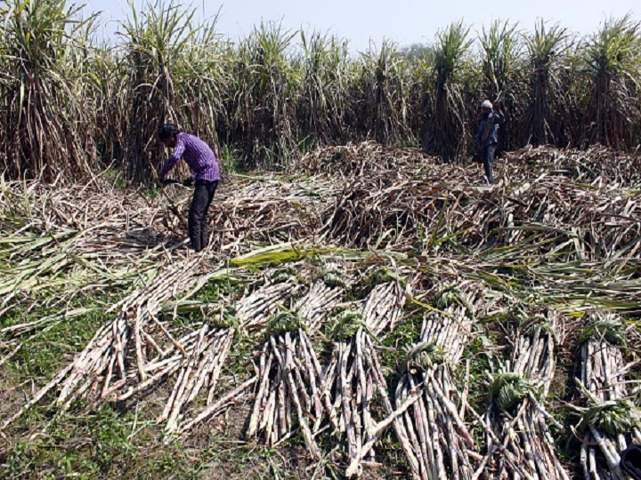 send sugarcane worker to their hometown Dhananjay Munde demand to cm Uddhav Thackeray ऊसतोड कामगारांना त्यांच्या स्वगृही पाठवण्याचा निर्णय लवकर घ्या, धनंजय मुंडेची मागणी