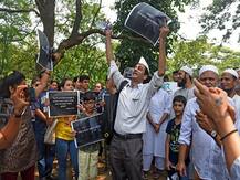 आरे मेट्रो कारशेडसाठी दोन हजार 238 झाडांवर कुऱ्हाड पडणारच, सत्तेत असूनही शिवसेना अपयशी