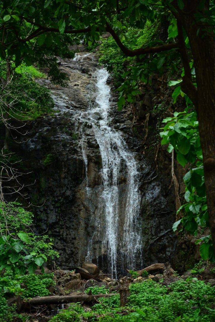 घनदाट जंगलाच्या सानिध्यात लपलेले सात धबधबे