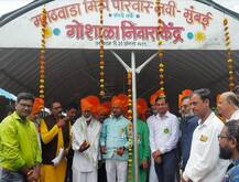 पद्मश्री शब्बीर मामुंच्या गायींसाठी मराठवाडा मित्र मंडळाचा निवारा