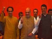 विधानसभा निवडणुकीत महायुतीला 229 जागा मिळणार, भाजपच्या सर्व्हेतील अंदाज