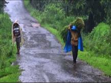 महाराष्ट्रातल्या \'या\' गावात चेरापुंजीपेक्षाही जास्त पावसाची नोंद