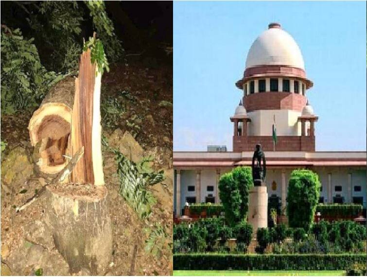 Aarey Forest | आरेतील वृक्षतोडीविरोधात आज सर्वोच्च न्यायालयात सुनावणी Supreme Court takes suo motu cognisance of the Aarey tree felling, special sitting on 7th Ocotober Aarey Forest | आरेतील वृक्षतोडीविरोधात आज सर्वोच्च न्यायालयात सुनावणी