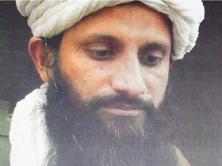 al qaeda  indian subcontinent chief of asim umar killed in afghanistan अल कायदाचा दक्षिण आशिया प्रमुख आसिम उमरचा खात्मा, भारताला मोठा दिलासा