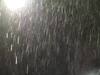 Pune Rains | पुण्यात पुढील दोन दिवस वादळी वाऱ्यासह मुसळधार पावसाची शक्यता