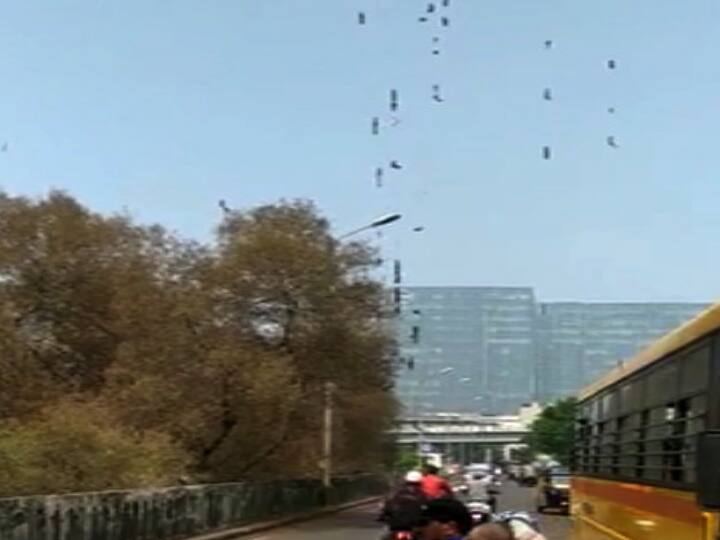 नवी मुंबईत अळ्यांचा उच्छाद, अंगाला खाज आणि लाल डाग, नागरिक त्रस्त Navi Mumbai - Citizens suffer from insect attack in Seawoods area नवी मुंबईत अळ्यांचा उच्छाद, अंगाला खाज आणि लाल डाग, नागरिक त्रस्त