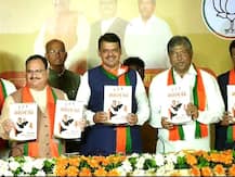 महाराष्ट्राला दुष्काळमुक्त करणार; विधानसभा निवडणुकीसाठी भाजपाचा संकल्प