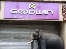 कोट्यवधींचा गंडा घालत \'गुडविन ज्वेलर्स\'ला टाळं, डोंबिवलीत आर्थिक फसवणुकीप्रकरणी गुन्हा दाखल