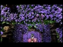 पाडव्यानिमित्त पंढरपूरातील विठ्ठल मंदिर सजलं.