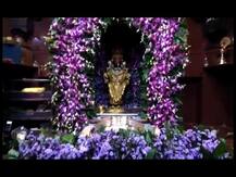 पाडव्यानिमित्त पंढरपूरातील विठ्ठल मंदिर सजलं.