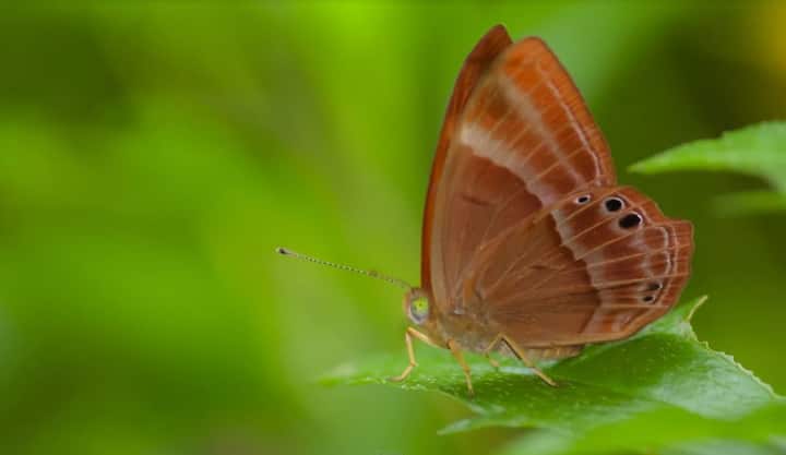(PHOTO : Pratik More)