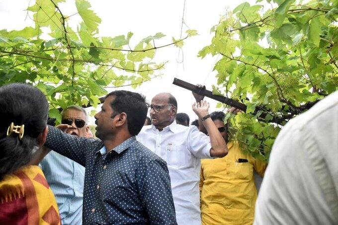 नाशिक जिल्ह्यातील सटाणा, मालेगाव, सिन्नर, येवला निफाड, दिंडोरी, नांदगाव या तालुक्यांना परतीच्या पावसानं अक्षरश: झोडपून काढलंय. यामुळे शेतीचंही नुकसान झालंय. 