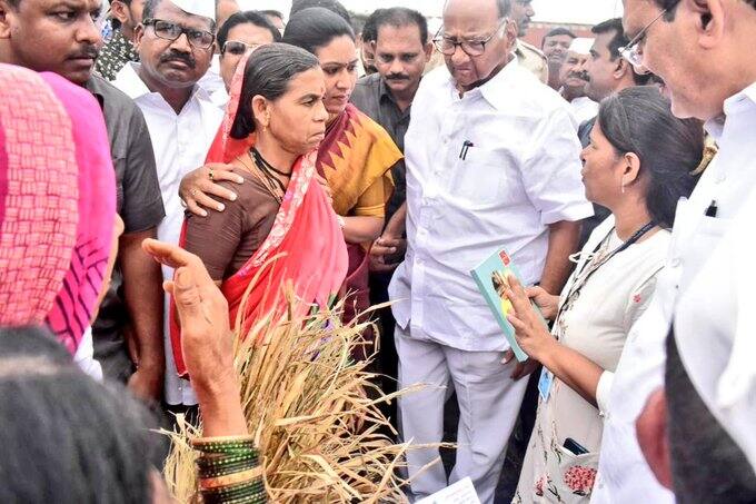 झालंय. पावसानं द्राक्ष, मका, बाजरी, सोयाबीन, कांदा पिकांचं मोठ्या प्रमाणात नुकसान झालं आहे. 