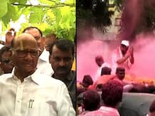 शरद पवार पीडित शेतकऱ्यांच्या बांधावर, तर रोहित पवारांवर लाखोंच्या गुलालाची बरसात