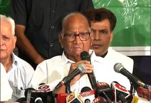 जनतेचा कौल युतीला, त्यांनी सरकार स्थापन करावं : शरद पवार