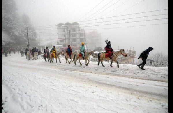 शिमल्यात जोरदार बर्फवृष्टीमुळे रस्त्यावर बर्फाचा थर जमा झाला आहे. 