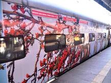 विदर्भातील सौंदर्य झळकलं मुंबई-पुणे डेक्कन क्वीन एक्सप्रेसवर