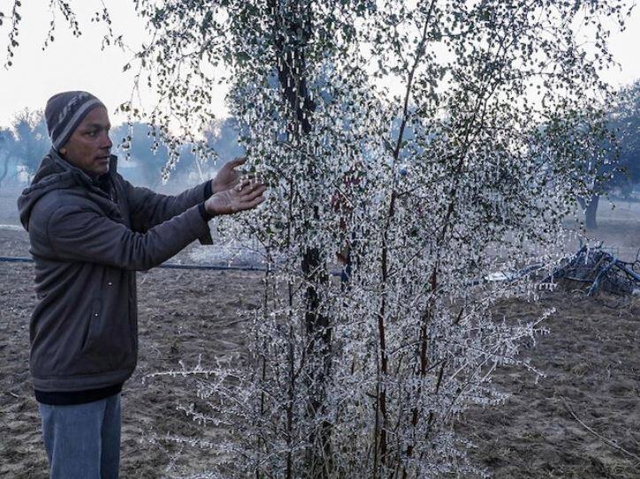 अर्ध्या देशात गोठवणारी थंडी, दिल्लीसह सहा राज्यांमध्ये रेड अलर्ट जारी North India suffering from extreme cold winter red alert issued for six states including delhi अर्ध्या देशात गोठवणारी थंडी, दिल्लीसह सहा राज्यांमध्ये रेड अलर्ट जारी