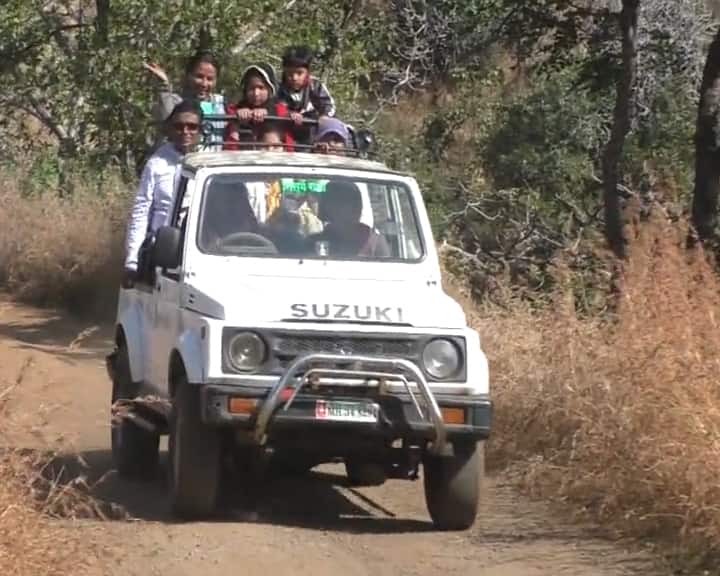 vidarbha kashmir good option for new year welcome नववर्षाच्या स्वागतासाठी पर्यटकांनी फुलले विदर्भाचे काश्मीर...