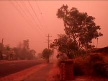 Australia Fire : भीषण आगीच्या वणव्यात ऑस्ट्रेलिया होरपळला