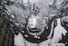 उत्तर भारतात जोरदार बर्फवृष्टी; परिसरात बर्फाची चादर, पर्यटक खुश