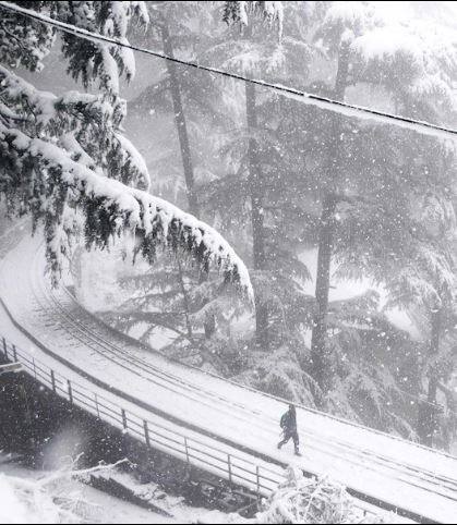 फोटो शिमलामधील आहेत, जिथे बुधवारी या सीझनमधील सर्वात थंड तापमानाची नोंद झाली. 