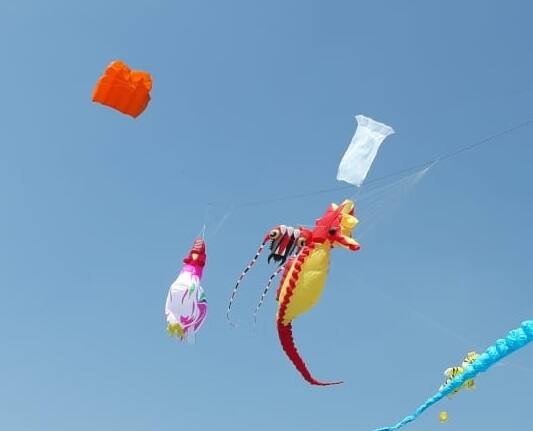  इंग्लंड,नेदरलँड, थायलँड, ईस्तोनिया, रशिया, इंडोनेशिया, लिथुआनिया आदी देशातील आणि भारतातील विविध राज्यातील पतंगबाज आपल्या पतंग उडवण्याच्या कौशल्याचे दर्शन घडवत आहेत.