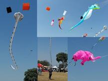 Kite Festival | बेळगावात पंतग महोत्सव; आकाशात हत्ती, कोब्रा, वाघ अन्...