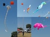 Kite Festival | बेळगावात पंतग महोत्सव; आकाशात हत्ती, कोब्रा, वाघ अन्...
