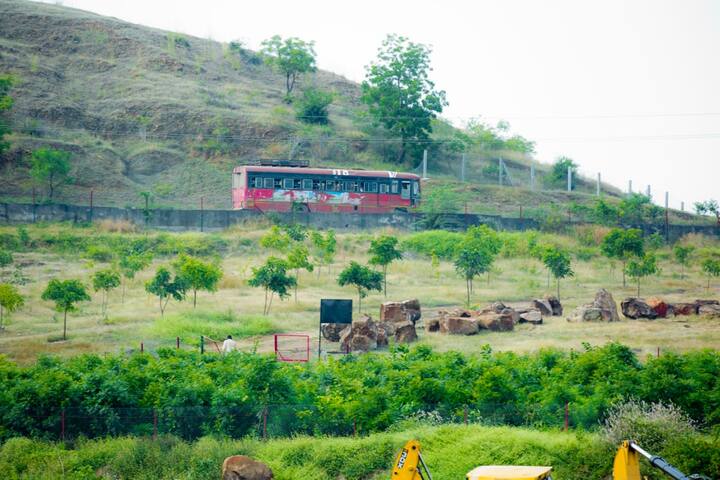 डोंगरावरील दगडांची आकर्षक ठेवण ही निसर्गप्रेमींना भुरळ घालत आहे. 