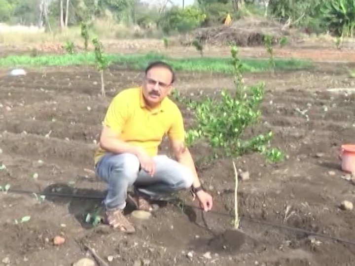 Yavatmal Collector Farming vegetable, fruits यवतमाळच्या जिल्हाधिकाऱ्यांनी फुलवला हिरवागार मळा