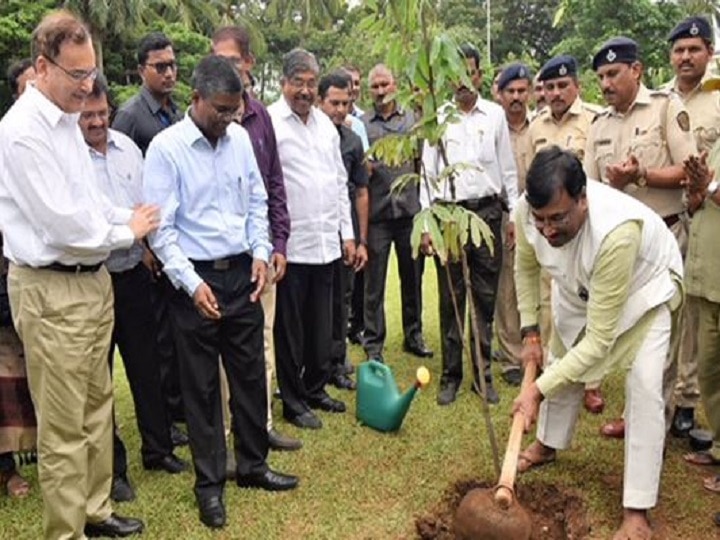 Thackeray government orders inquiry of tree plantation done by Fadnavis government फडणवीस सरकारच्या काळात झालेल्या वृक्ष लागवडीच्या चौकशीचे आदेश