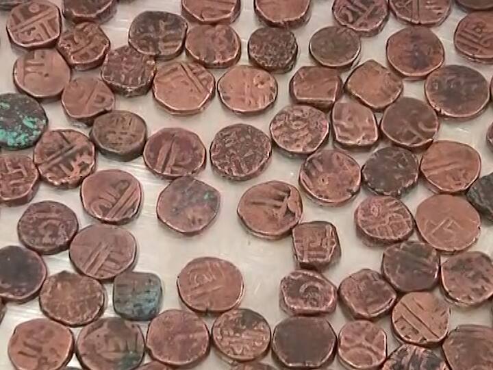  अकबराची चांदीची नाणी, अकबर दाम औरंगजेब, शहाआलम (एक आणि दोन), शहाजान, ब्रिटिश इस्ट इंडिया कंपनी, राणी एलिझाबेथ, यादव कालीन, मोहम्मद तुघलक, भारताला स्वातंत्र्य मिळण्यापूर्वी प्रत्येक राज्यात काही विशिष्ट वापरली जाणारी नाणी जाधव यांच्याकडे आहेत. तसेच सातवाहन काळातीलही नाणी त्यांच्याकडे आहेत.