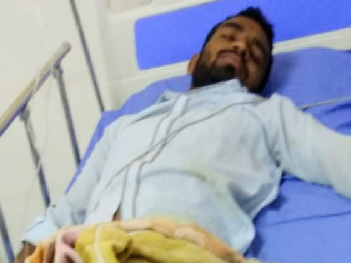 Bull rescues owner's life, rescues farmer from deadly attack by crocodile in Kolhapur बैलाने वाचवले मालकाचे प्राण, कोल्हापुरात मगरीच्या जीवघेण्या हल्ल्यातून शेतकरी बचावला