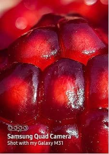 Macro lens : मॅक्रो लेन्स