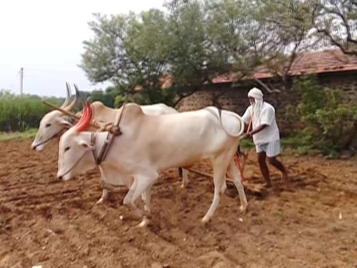 second list of Farmer loan waivers annonce today शेतकरी कर्जमाफीची दुसरी यादीही जाहीर, नगर जिल्ह्यातील पावणे तीन लाख तर वर्ध्यातील 46 हजार शेतकऱ्यांना लाभ