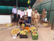 गोव्यात रासायनिक प्रक्रिया करून फळे विकणाऱ्यांवर एफडीएची कारवाई