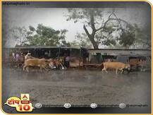 एबीपी माझा टॉप 10 हेडलाईन्स | 1 मार्च 2020 | रविवार