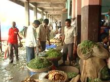 कृषी उत्पन्न बाजार समिती निवडणुकीत भाजपाला भोपळा, महाविकास आघाडीचे निर्विवाद वर्चस्व