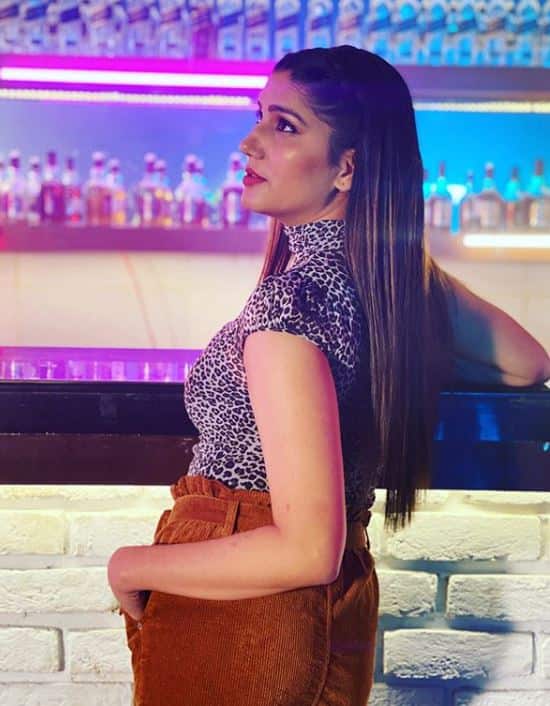 मागील काही दिवसांपासून सपना राजकारणात येणार असल्याच्या चर्चा होत्या. तिने अनेक नेत्यांची भेटही घेतली होती. (Photo Credit: @itssapnachoudhary Instagram)