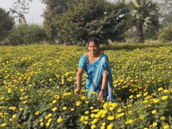 success story of women farmer of palghar एकाच वेळी आधुनिक शेती अन् गाव सांभाळणाऱ्या 'पाटलीनबाई'