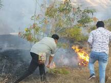 Photo | अभिनेते सयाजी शिंदेंनी जीव धोक्यात घालून विझवला वणवा; कात्रज टेकडीवरील घटना